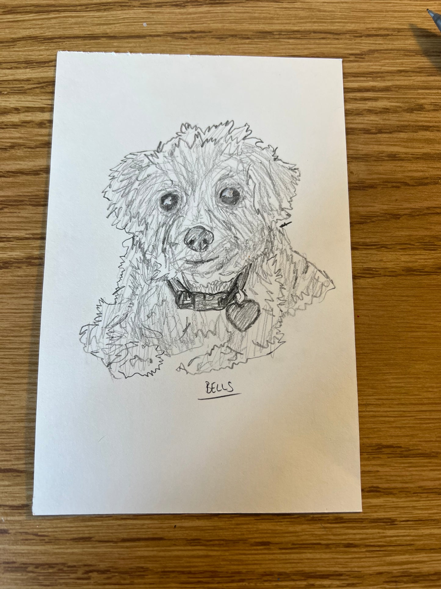 Custom Pet Portraits