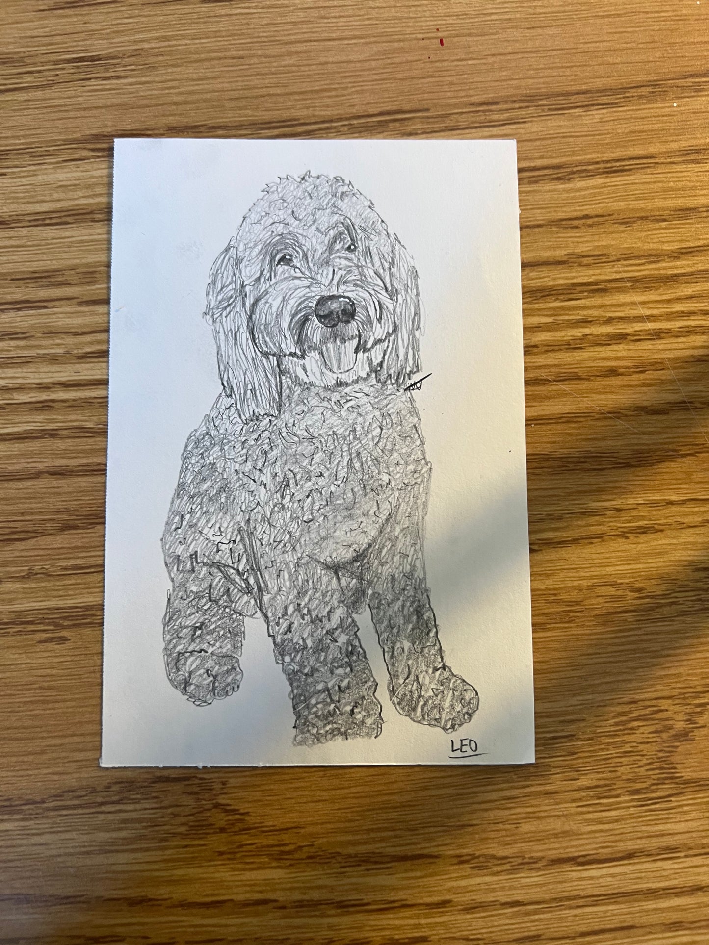 Custom Pet Portraits