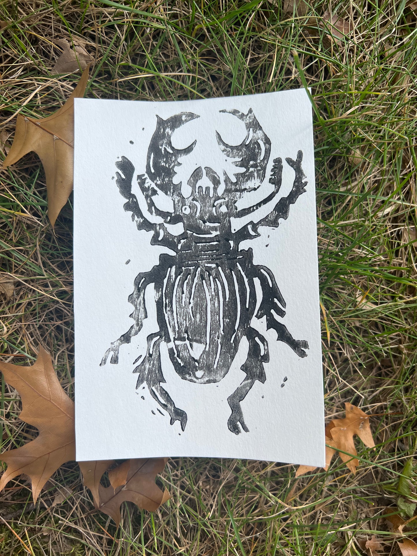 Beetle Print